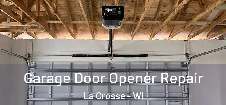  Garage Door Opener Repair La Crosse - WI