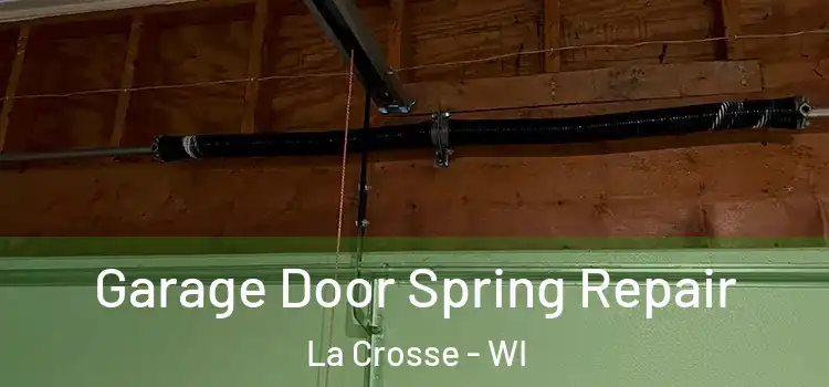  Garage Door Spring Repair La Crosse - WI