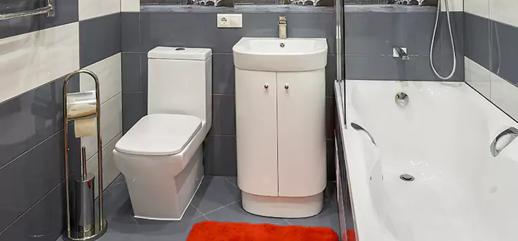 Hansgrohe Shaving Mirror La Crosse